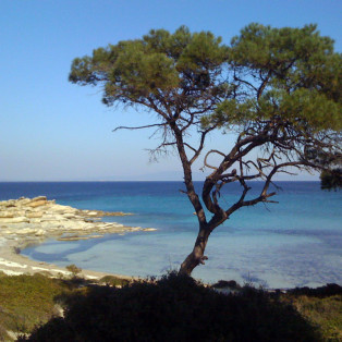 Karydi beach in Sithonia
